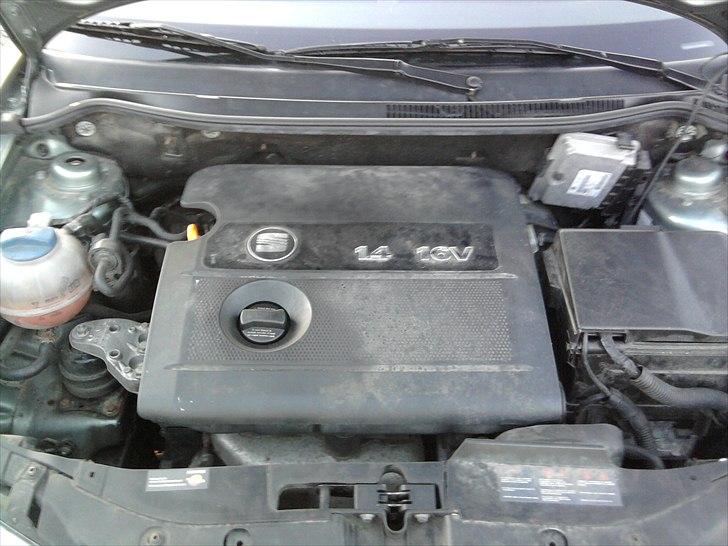 Seat Ibiza 6L (SOLGT) billede 8