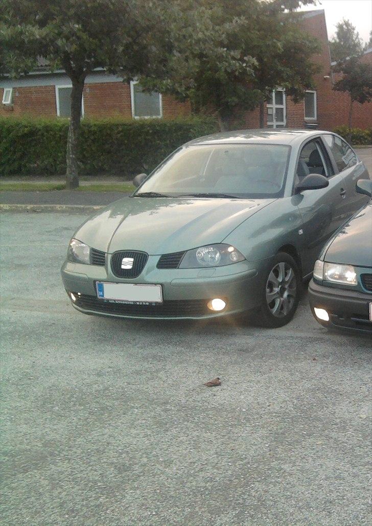 Seat Ibiza 6L (SOLGT) billede 1