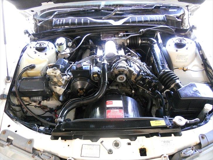 Toyota Lexcen / Holden Commodore *SOLGT* billede 3