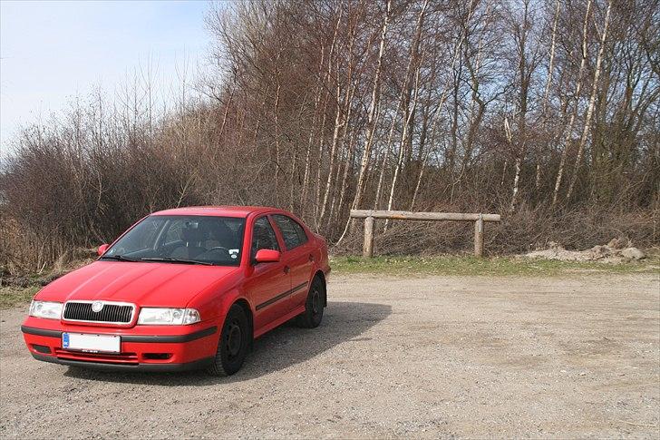 Skoda Octavia 1,9 TDI GLX *solgt* - sådan så den ud da jeg købte den billede 8