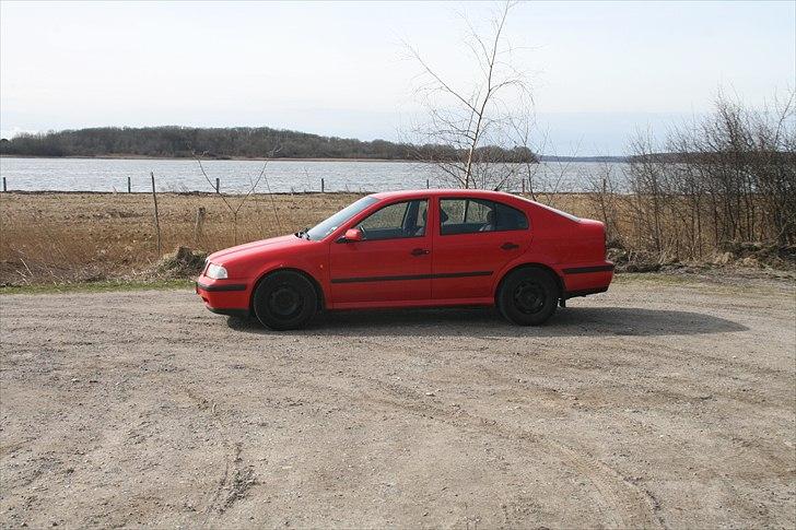 Skoda Octavia 1,9 TDI GLX *solgt* - sådan så den ud da jeg købte den billede 9