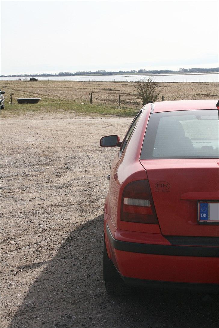 Skoda Octavia 1,9 TDI GLX *solgt* - sådan så den ud da jeg købte den billede 13