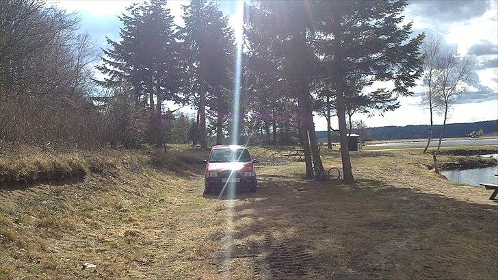 Suzuki Alto billede 5