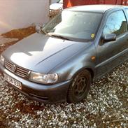 VW Polo 1.4 6N 16V