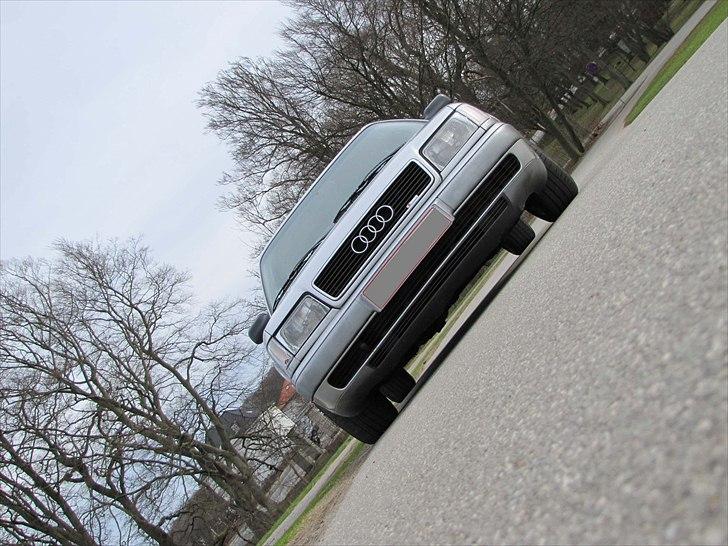 Audi 100 / A6  billede 14