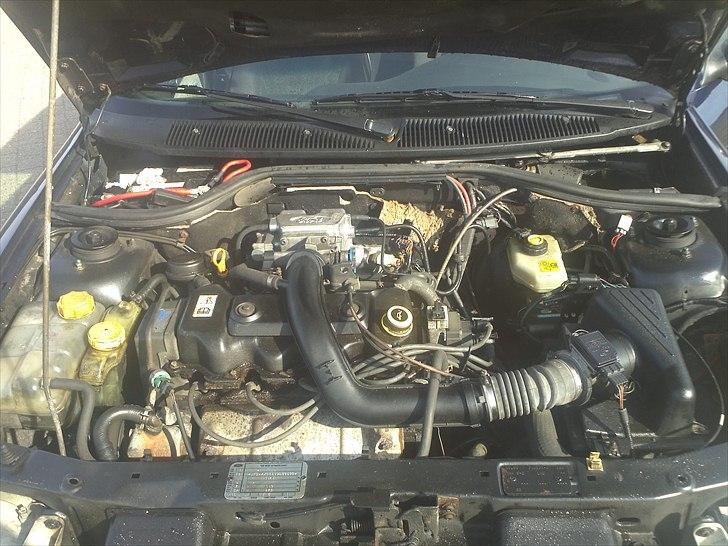 Ford escort Skrotte :( billede 7