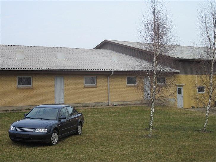 VW Passat 3B 1,9 TDI *DØD* billede 2