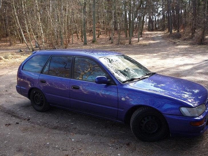 Toyota corolla billede 7