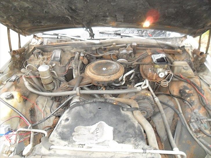 Chevrolet caprice solgt billede 3