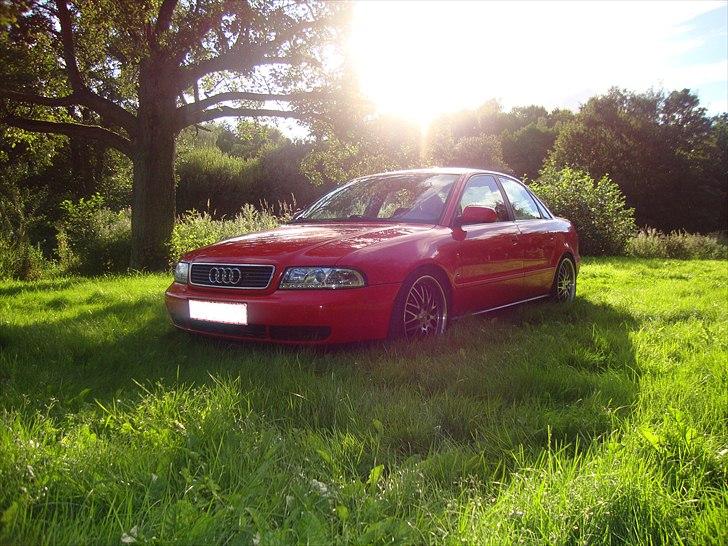Audi A4 billede 1