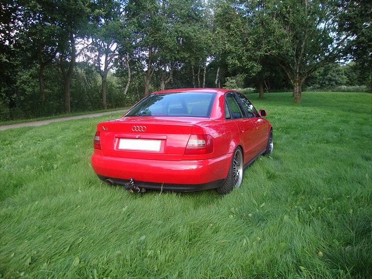 Audi A4 billede 5