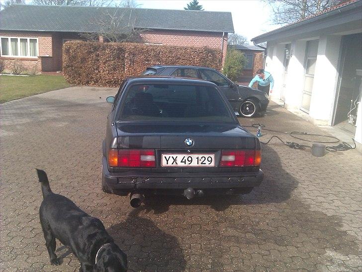 BMW e30 320/25 (SOLGT) billede 3