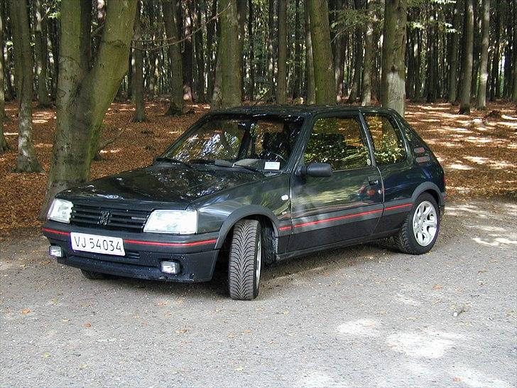 Peugeot 205 GTI billede 9