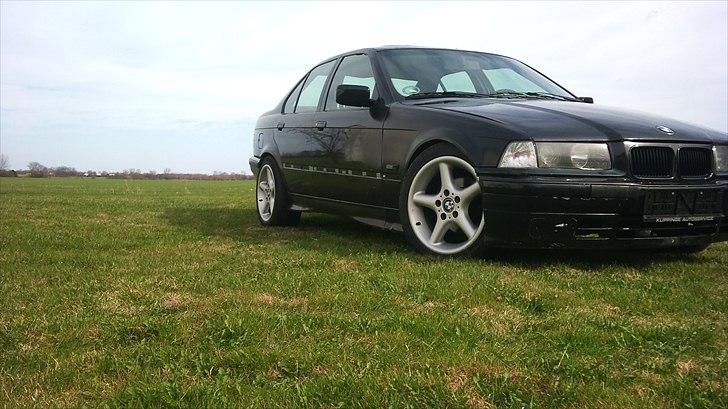 BMW E36 318i (protjekt) billede 2