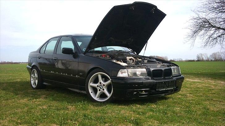 BMW E36 318i (protjekt) billede 12