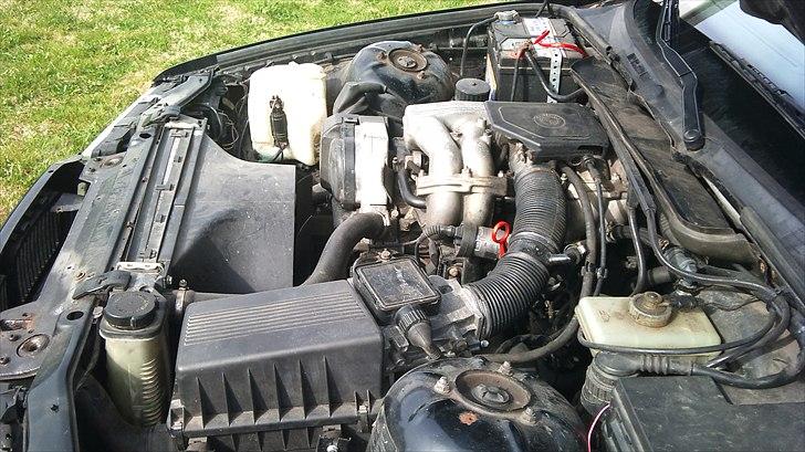 BMW E36 318i (protjekt) billede 14