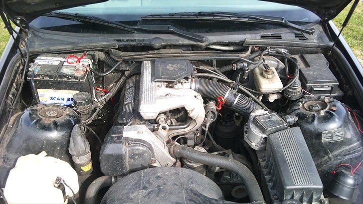 BMW E36 318i (protjekt) billede 15