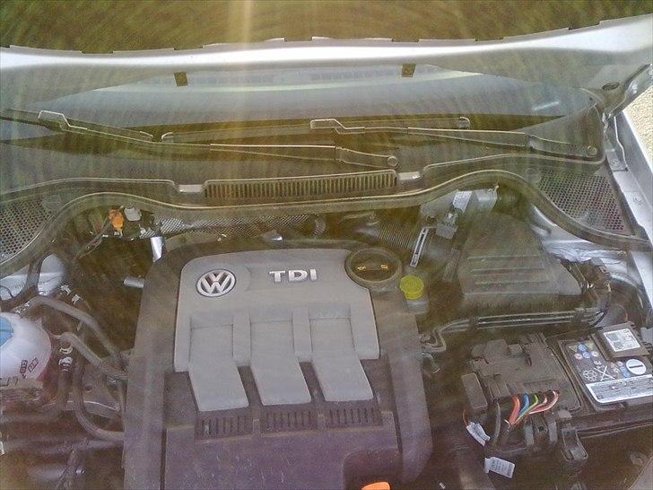VW Polo 1.2 TDI Bluemotion billede 10