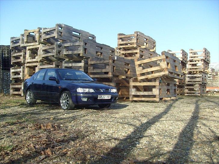 Nissan primera slx billede 1