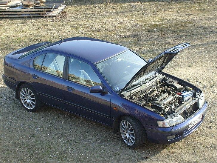 Nissan primera slx billede 5