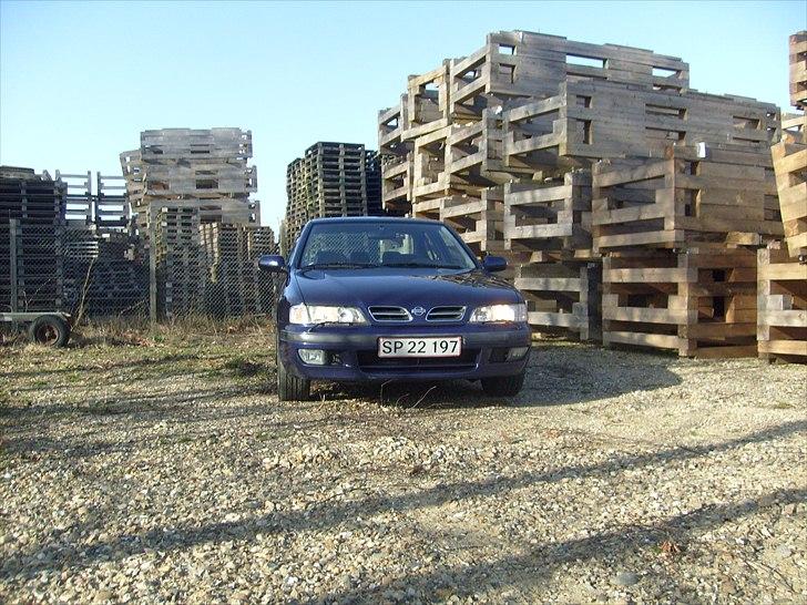 Nissan primera slx billede 12