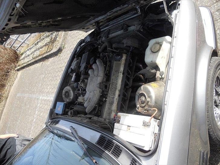 BMW E30 320i  billede 7