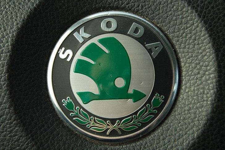 Skoda Fabia 1,9 TDI Combi billede 1