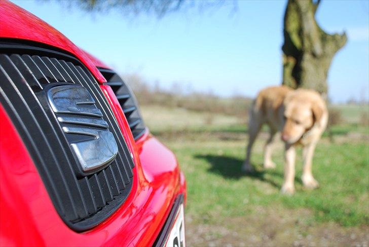 Seat Leon 1M Sport (Solgt) billede 14