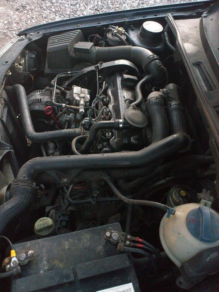 VW golf lll 1.9 tdi billede 9