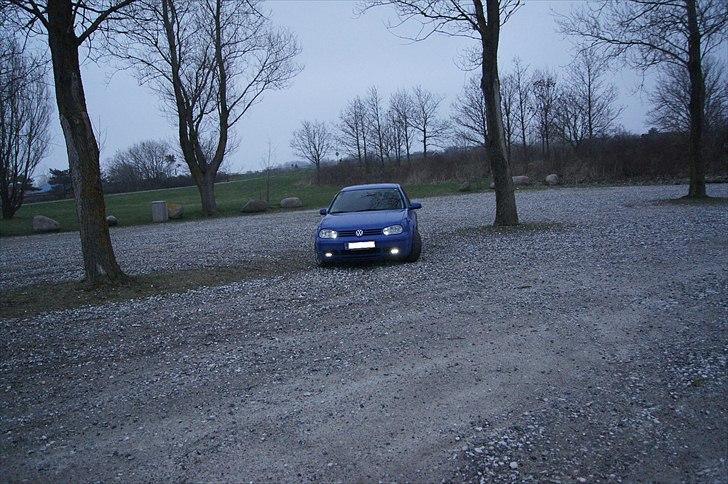VW Golf IV billede 5