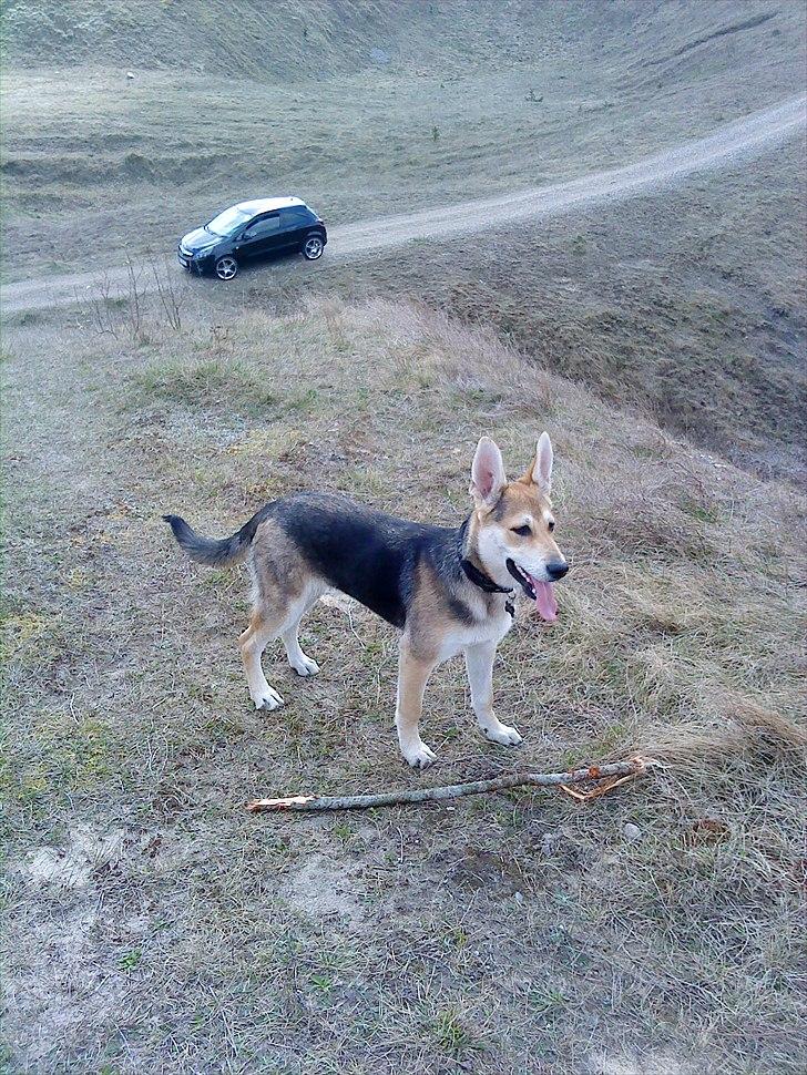 Opel Corsa D Sport billede 3