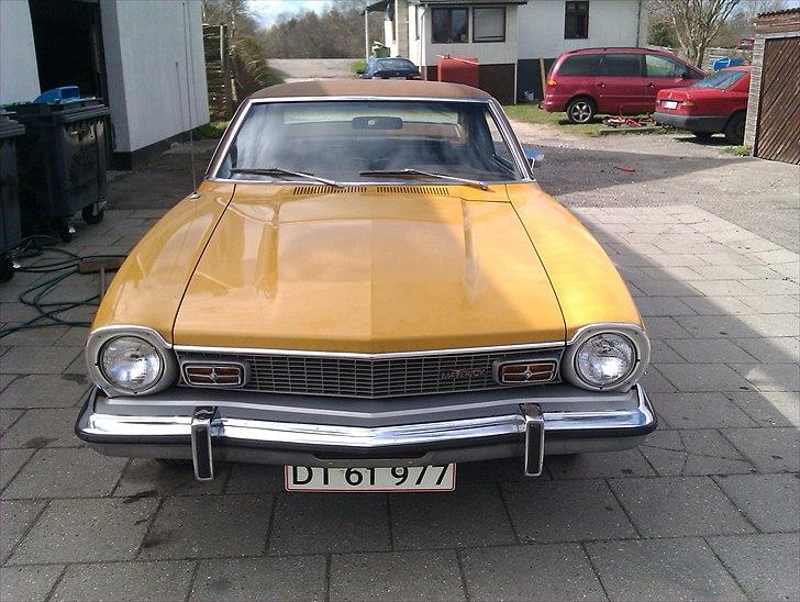 Amerikaner Ford Maverick billede 6