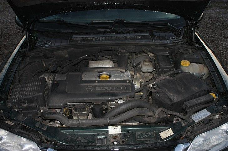 Opel Vectra (år2000 model) billede 5