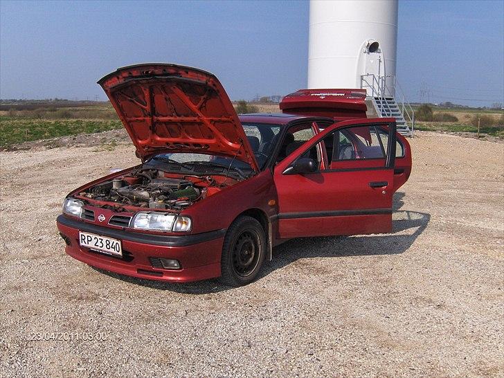 Nissan primera - skrottet! billede 9