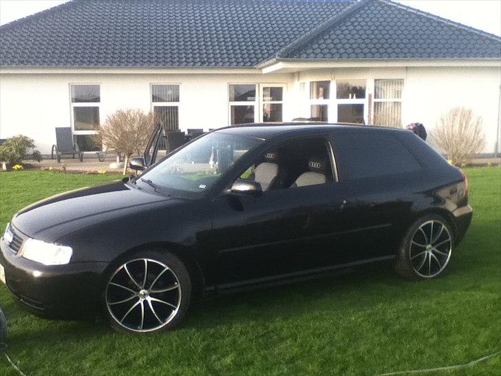 Audi A3 8L billede 20