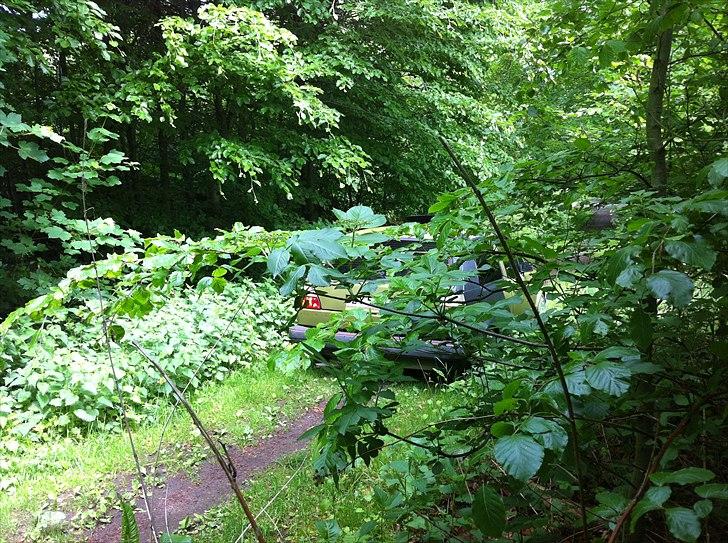 VW Golf 2 Army ( SOLGT ) billede 14