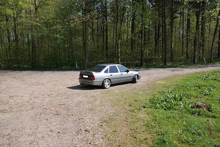 Opel Calectra *SOLGT* billede 6