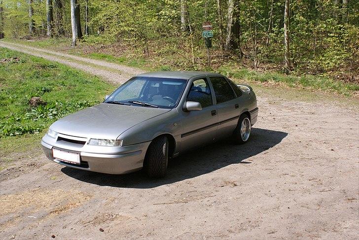 Opel Calectra *SOLGT* billede 10