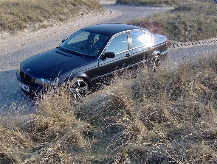 BMW E46 320i (SOLGT) billede 16