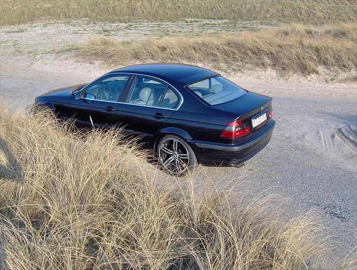 BMW E46 320i (SOLGT) billede 17