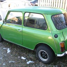 Austin-Morris Mascot