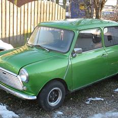 Austin-Morris Mascot