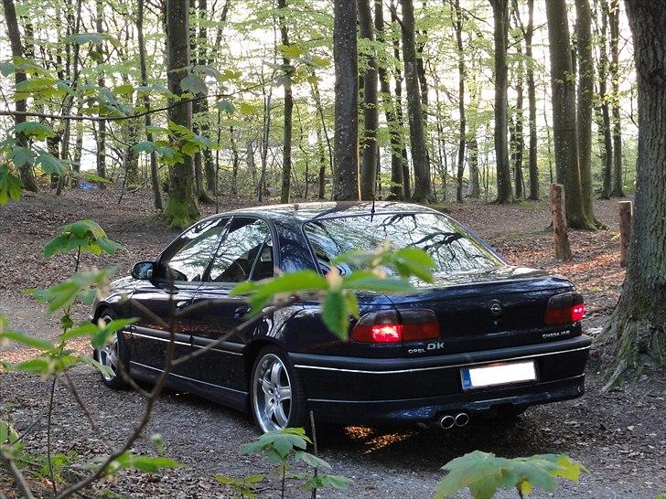 Opel Omega MV6 billede 12