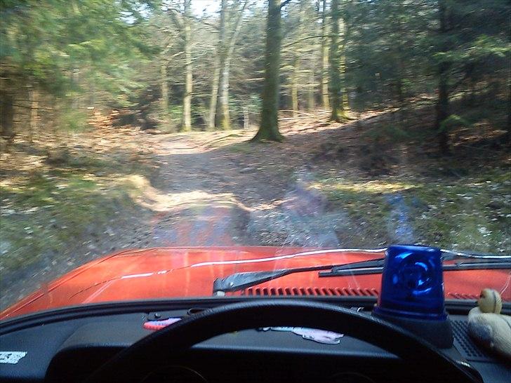 Lada 2105 - skovtur billede 4