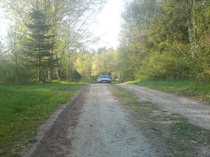 Peugeot 406 2,0 ST billede 15