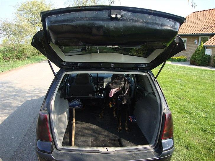 VW golf 4 variant SOLGT billede 13