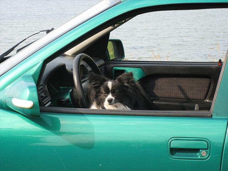 Opel Vectra A solgt billede 19