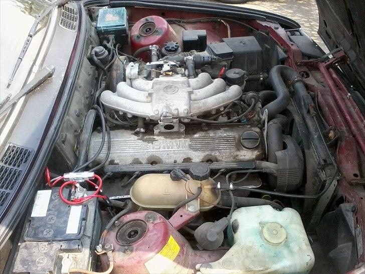 BMW 320i 2d E30 billede 7