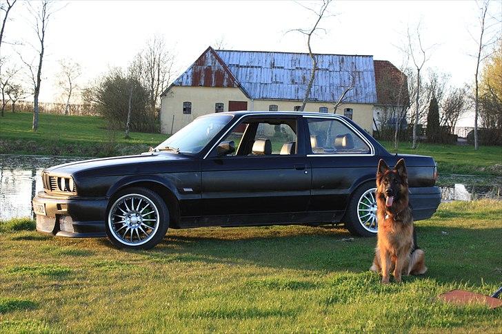 BMW E 30  billede 3