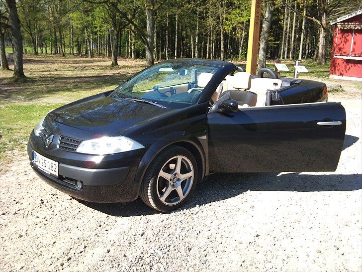 Renault Megane II 1,6 CC billede 16